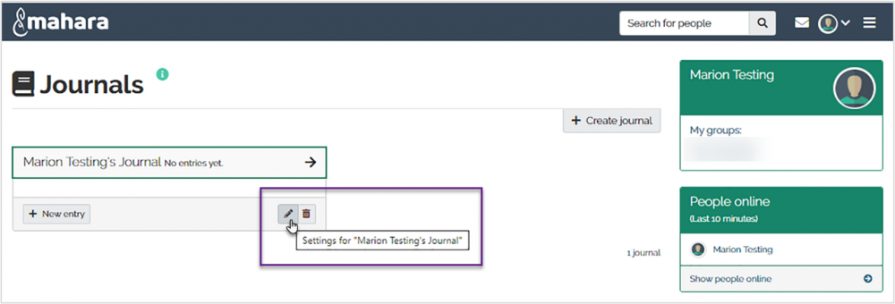 Button for accessing journal settings